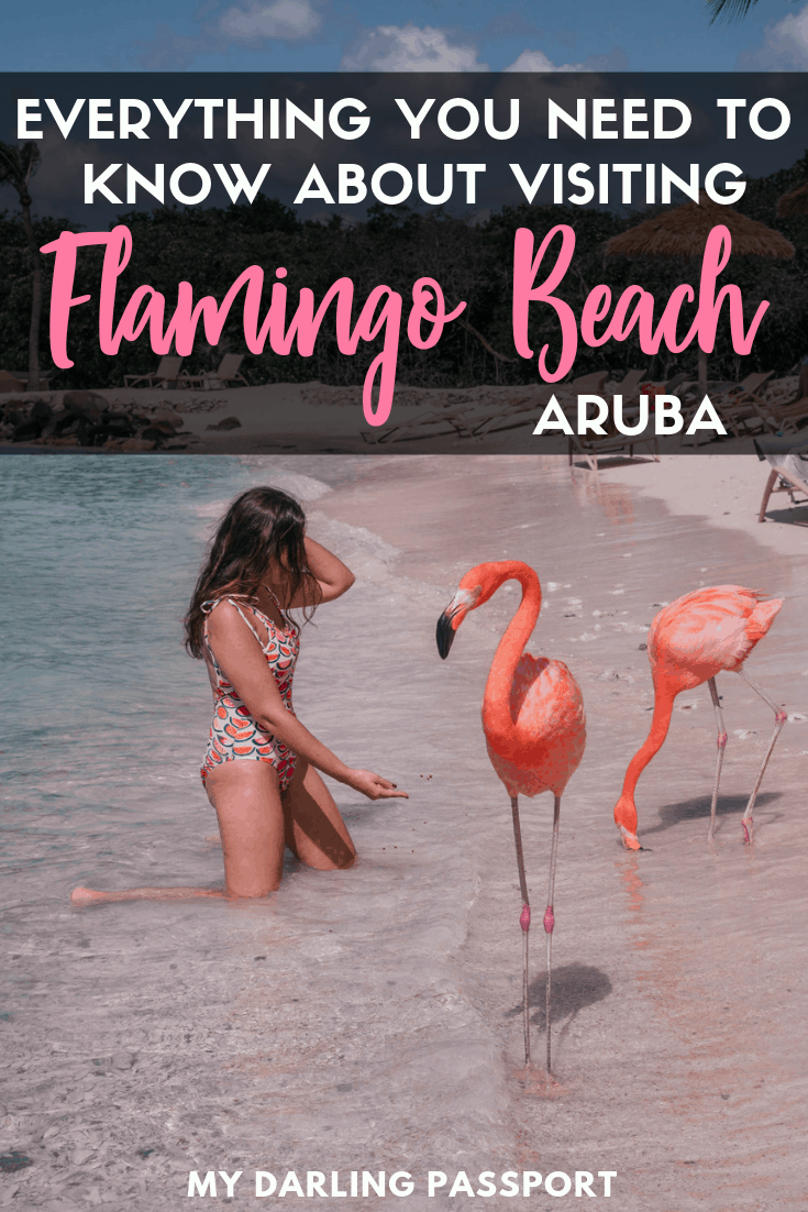 Everything you need to know about visiting  Flamingo Beach in Aruba