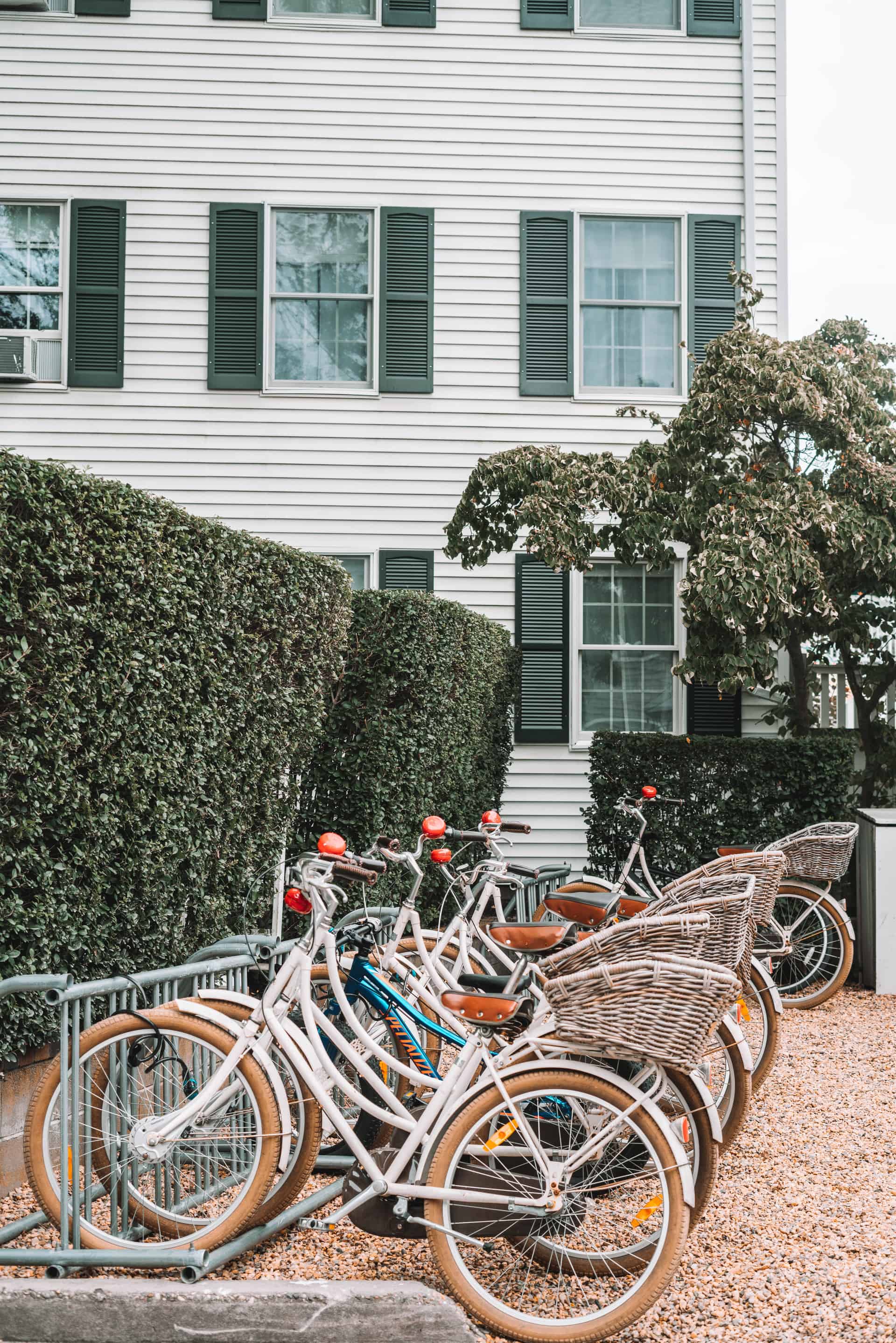bicycles on Martha's Vineyard