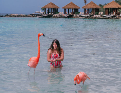 WHAT YOU NEED TO KNOW ABOUT VISITING FLAMINGO BEACH IN ARUBA