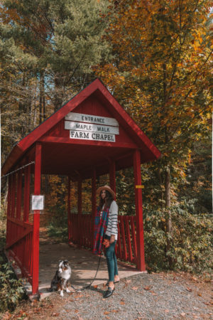 Sugarbush Farm in Vermont