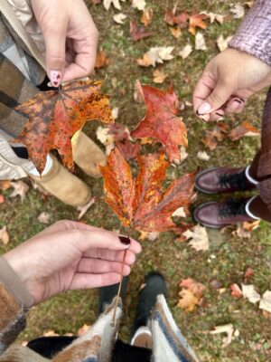 Foliage in New Hampshire