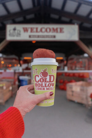 Cold Hollow Cider Mill