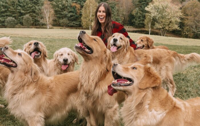 Golden Dog Farm in Vermont