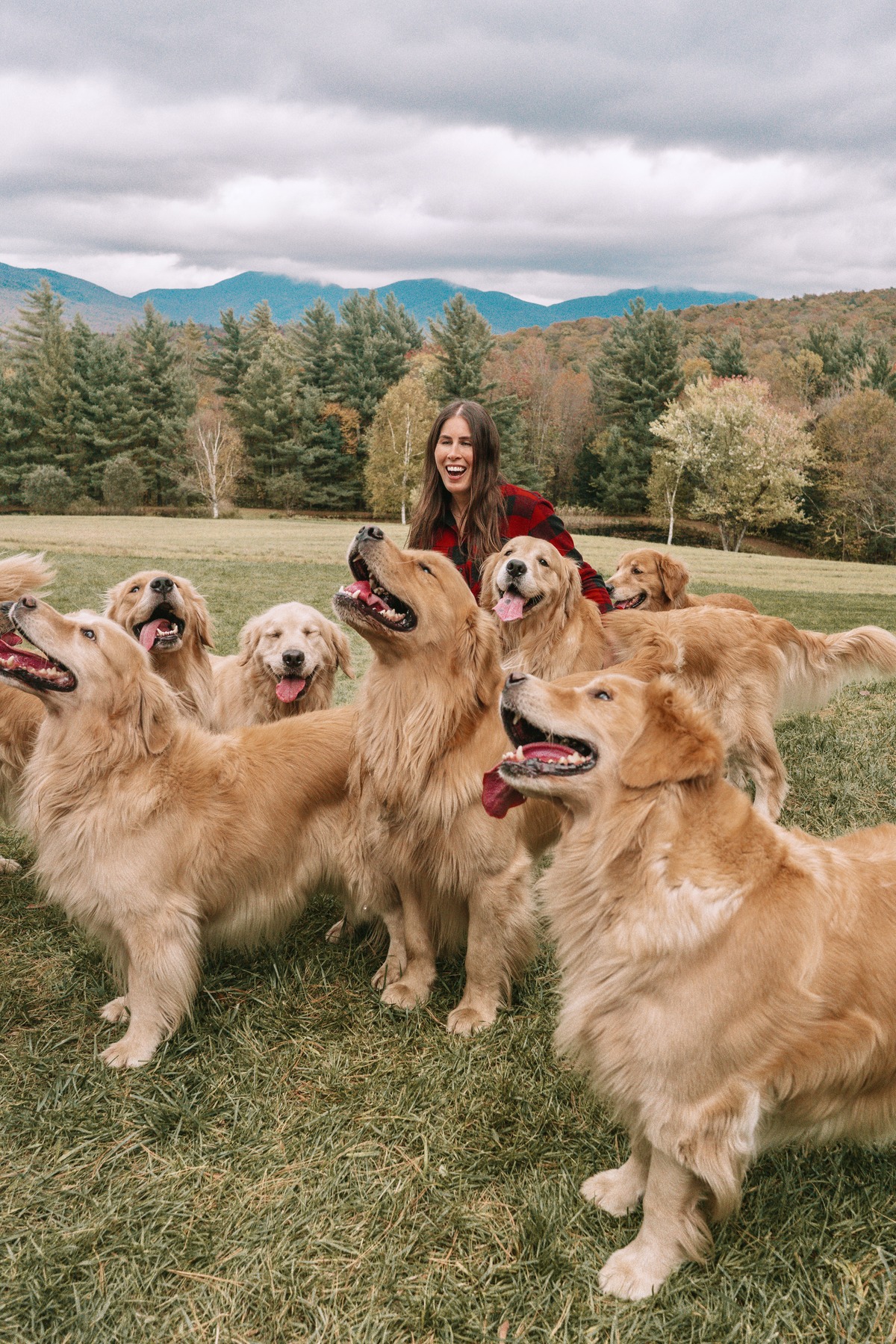 Golden Dog Farm in Vermont